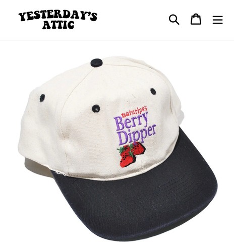 Vintage berry dipper 90s food - vintage,